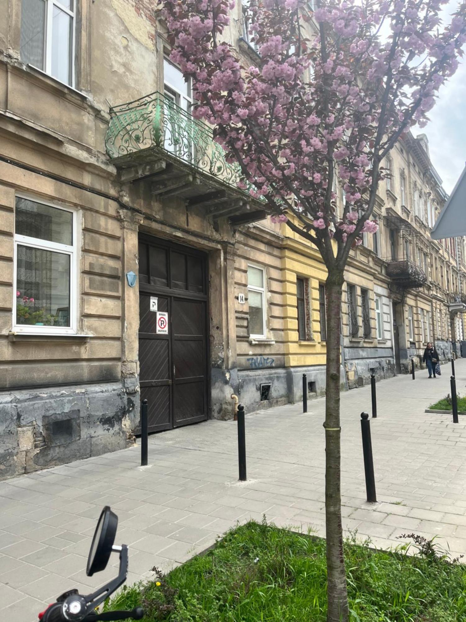 Apartment Medova